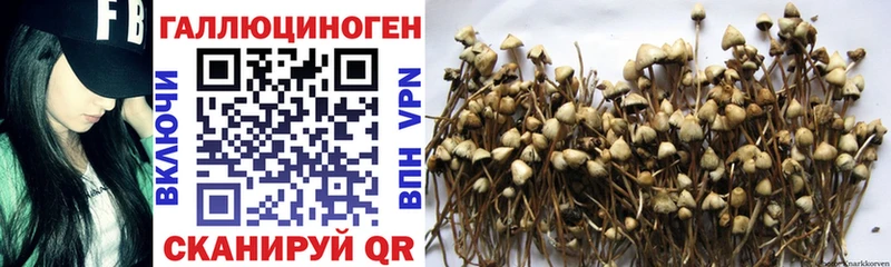 Галлюциногенные грибы мухоморы Приволжск